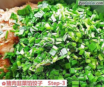 猪肉韭菜馅饺子做法第三步骤