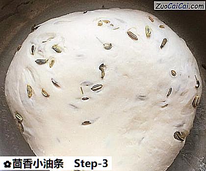 茴香小油条做法第三步骤