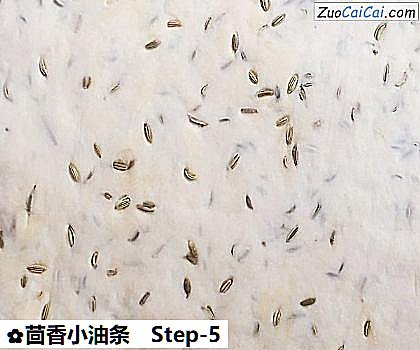 茴香小油条做法第五步骤