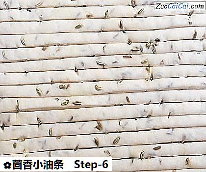 茴香小油条做法第六步骤