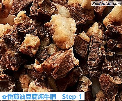 番茄油豆腐炖牛腩做法第一步骤
