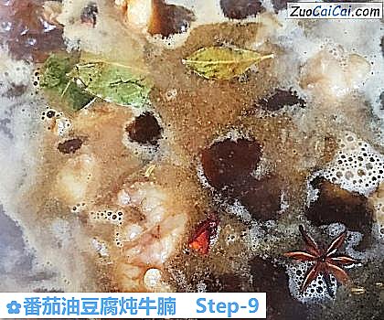 番茄油豆腐炖牛腩做法第九步骤