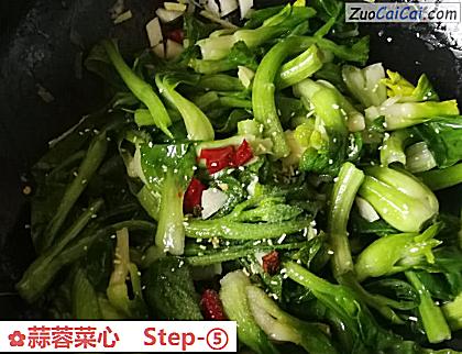 蒜蓉菜心做法第五步骤