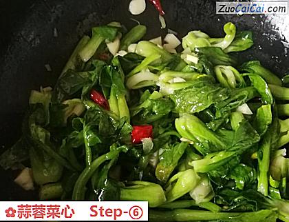 蒜蓉菜心做法第六步骤