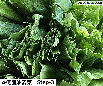低脂油麦菜做法第三步骤