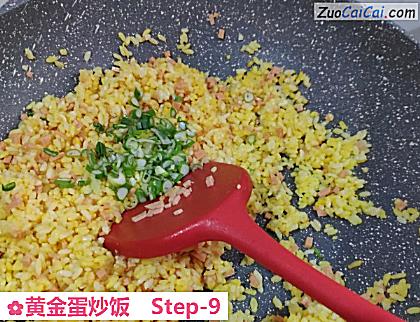 黄金蛋炒饭做法第九步骤