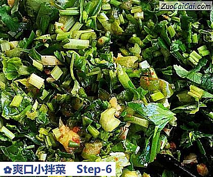 爽口小拌菜做法第六步骤