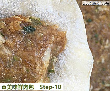美味鲜肉包做法第十步骤