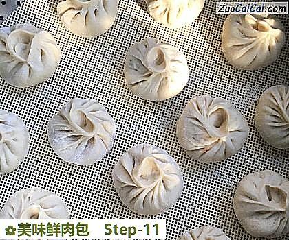 美味鲜肉包做法第十一步骤
