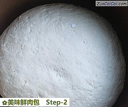 美味鲜肉包做法第二步骤