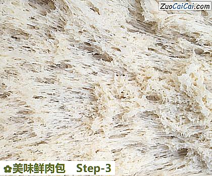 美味鲜肉包做法第三步骤