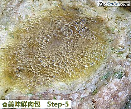 美味鲜肉包做法第五步骤
