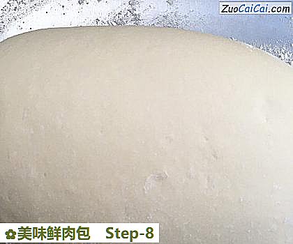 美味鲜肉包做法第八步骤