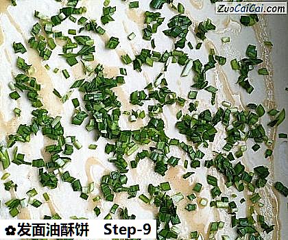 发面油酥饼做法第九步骤