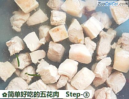 简单好吃的五花肉做法第三步骤