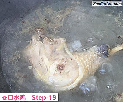 口水鸡做法第十九步骤