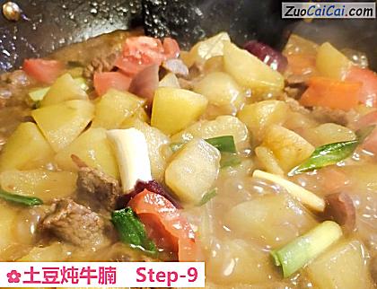 土豆炖牛腩做法第九步骤