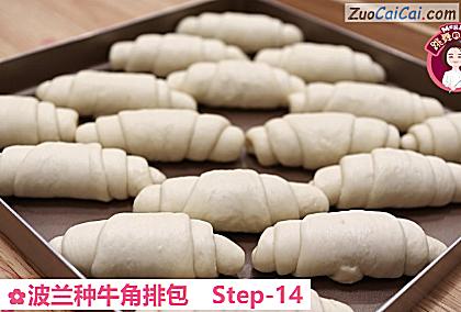 波兰种牛角排包做法第十四步骤