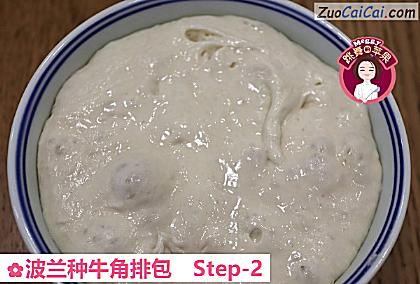 波兰种牛角排包做法第二步骤