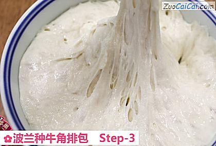 波兰种牛角排包做法第三步骤