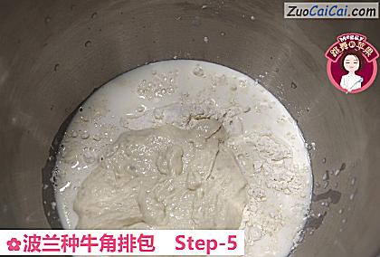 波兰种牛角排包做法第五步骤