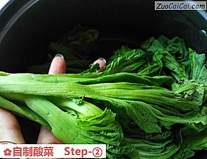 自制酸菜做法第二步骤