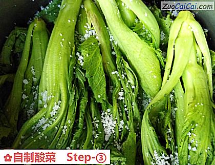 自制酸菜做法第三步骤