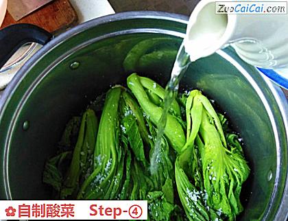 自制酸菜做法第四步骤