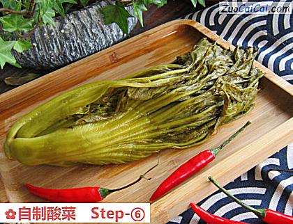 自制酸菜做法第六步骤