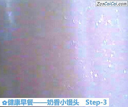 奶香小馒头做法第三步骤