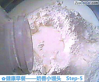 奶香小馒头做法第五步骤
