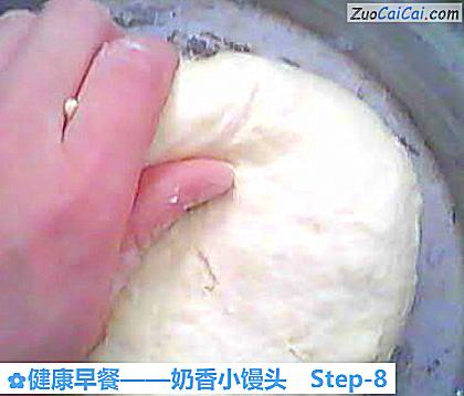 奶香小馒头做法第八步骤