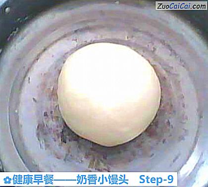 奶香小馒头做法第九步骤