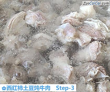 西红柿土豆炖牛肉做法第三步骤