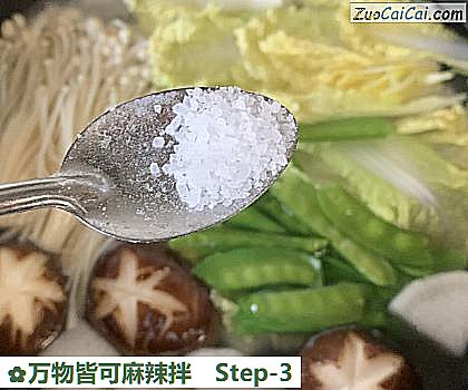万物皆可麻辣拌做法第三步骤