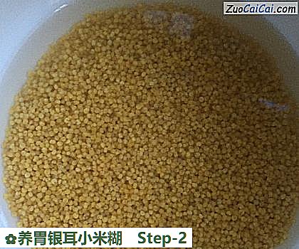 养胃银耳小米糊做法第二步骤