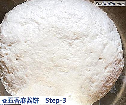 五香麻酱饼做法第三步骤