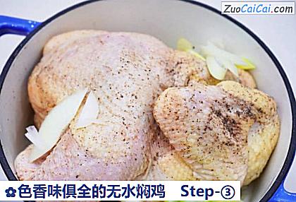色香味俱全的无水焖鸡做法第三步骤