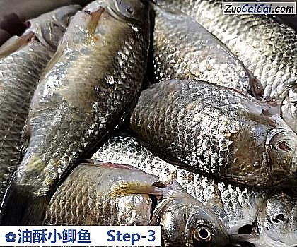 油酥小鲫鱼做法第三步骤
