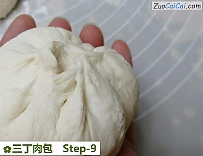 三丁肉包做法第九步骤