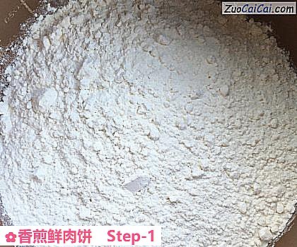 香煎鲜肉饼做法第一步骤