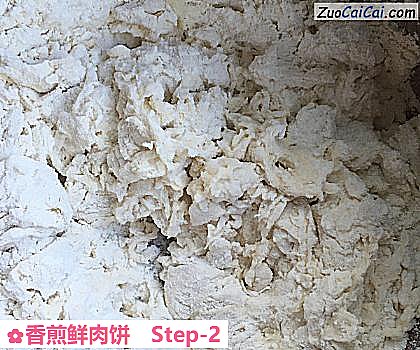 香煎鲜肉饼做法第二步骤