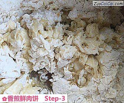 香煎鲜肉饼做法第三步骤