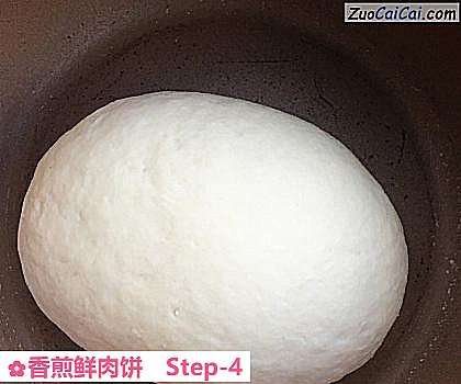 香煎鲜肉饼做法第四步骤