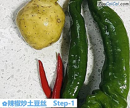 辣椒炒土豆丝做法第一步骤