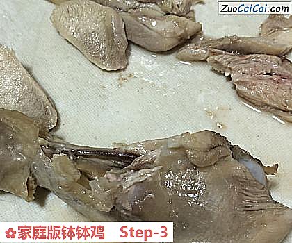 家庭版钵钵鸡做法第三步骤
