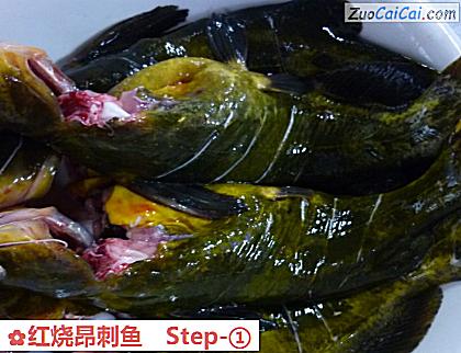 红烧昂刺鱼做法第一步骤