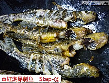 红烧昂刺鱼做法第二步骤