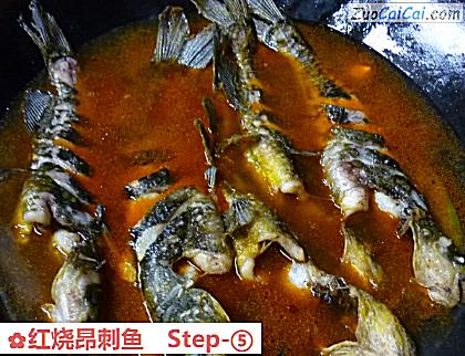 红烧昂刺鱼做法第五步骤