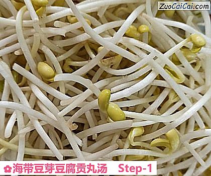 海带豆芽豆腐贡丸汤做法第一步骤